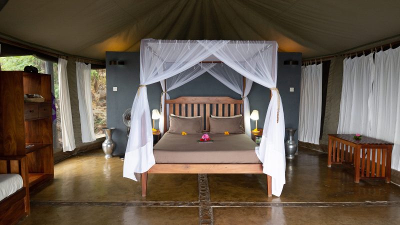 Blue Zebra Island Lodge