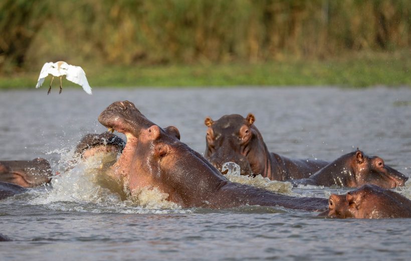 Southern Malawi Explorer