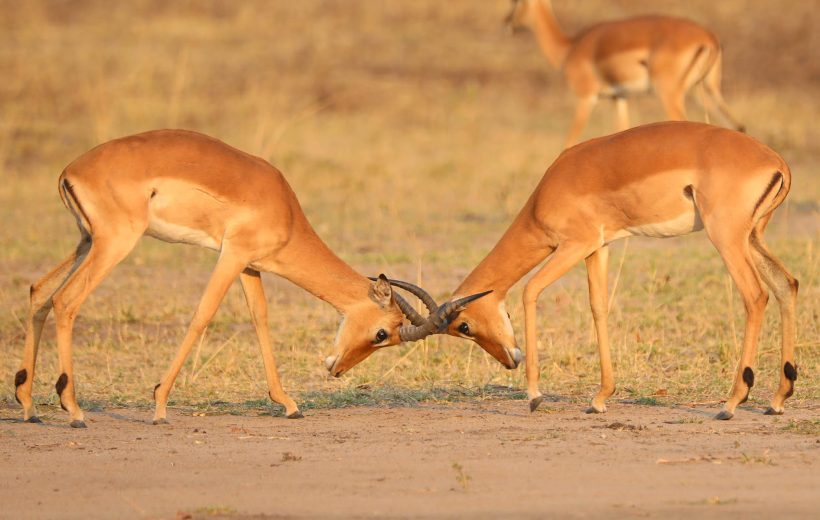 Backpacker Experience Including Cultural Homestay - Group Trip