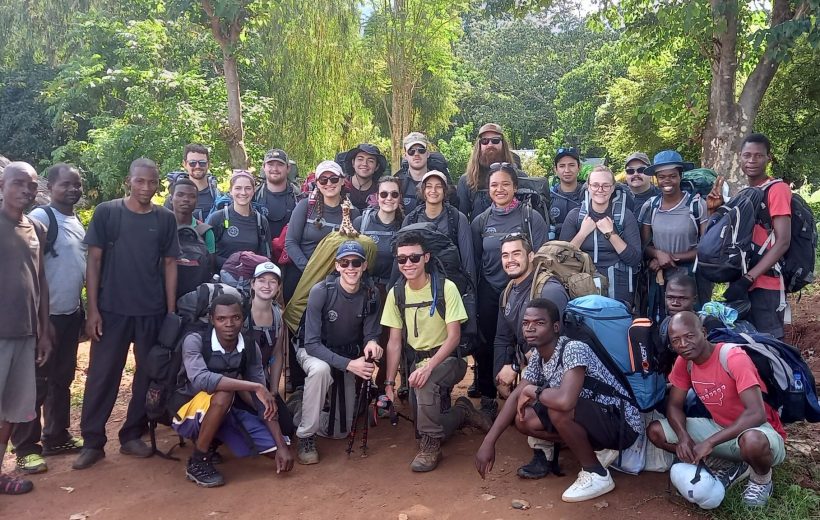 Travelling in a Group?